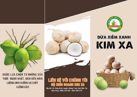 DỪA XIÊM XANH KIM XA