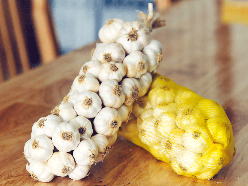 Tỏi THanh Hải - Hương vị của nắng và gió Phan Rang