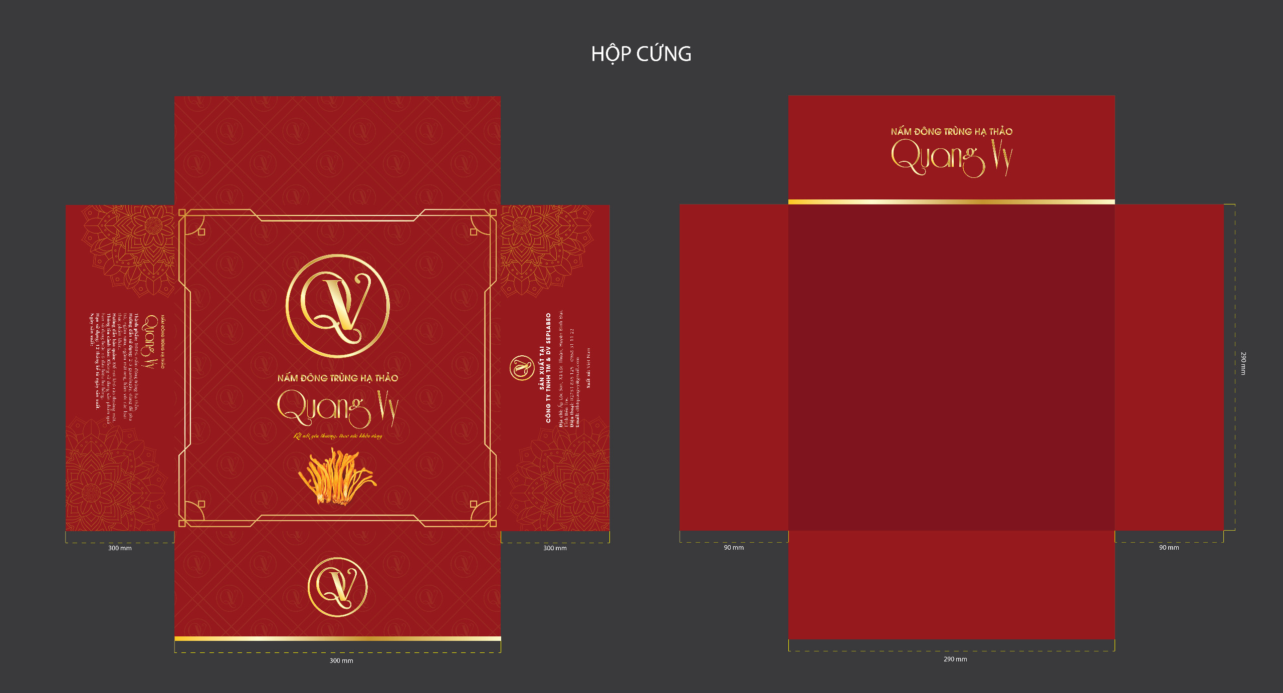 Nấm ĐTHT Quang Vy