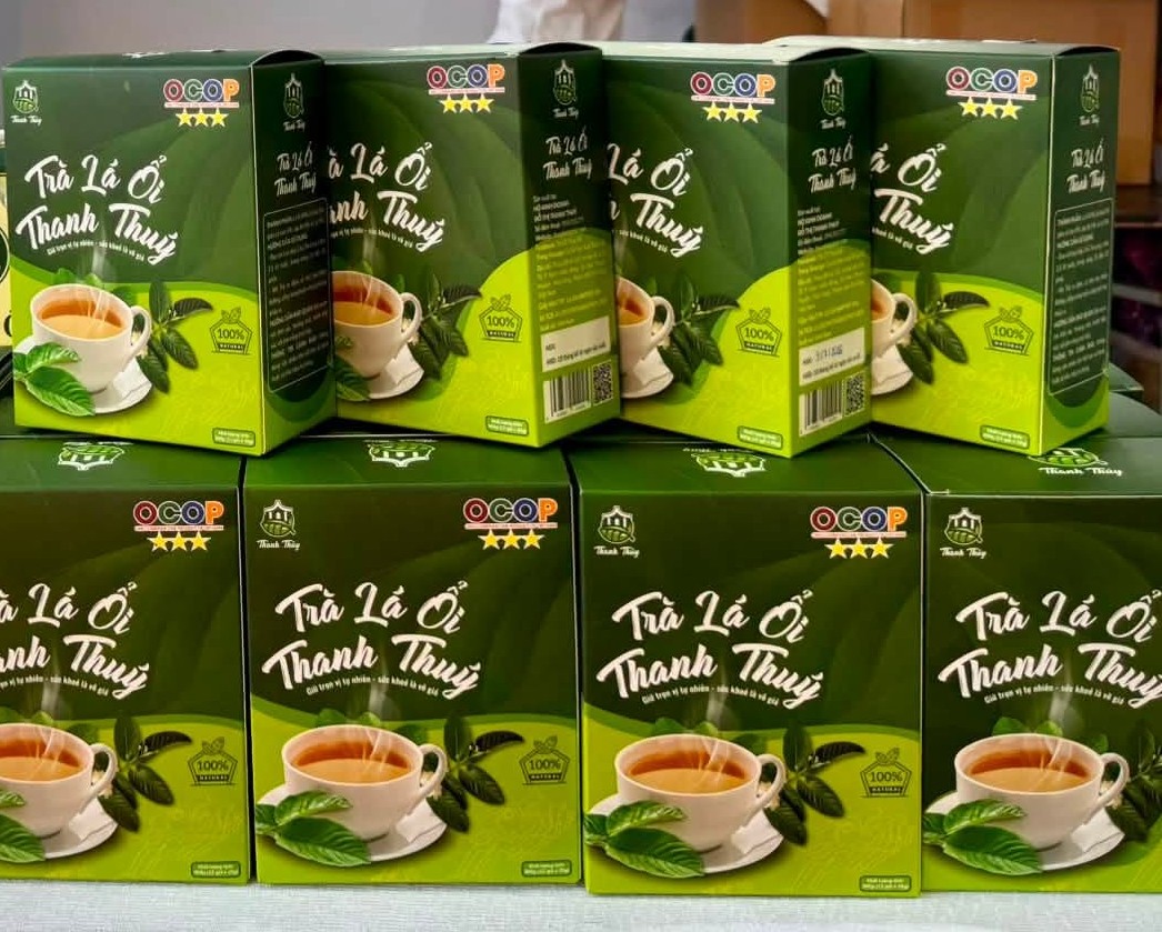 Trà lá ổi Thanh Thúy